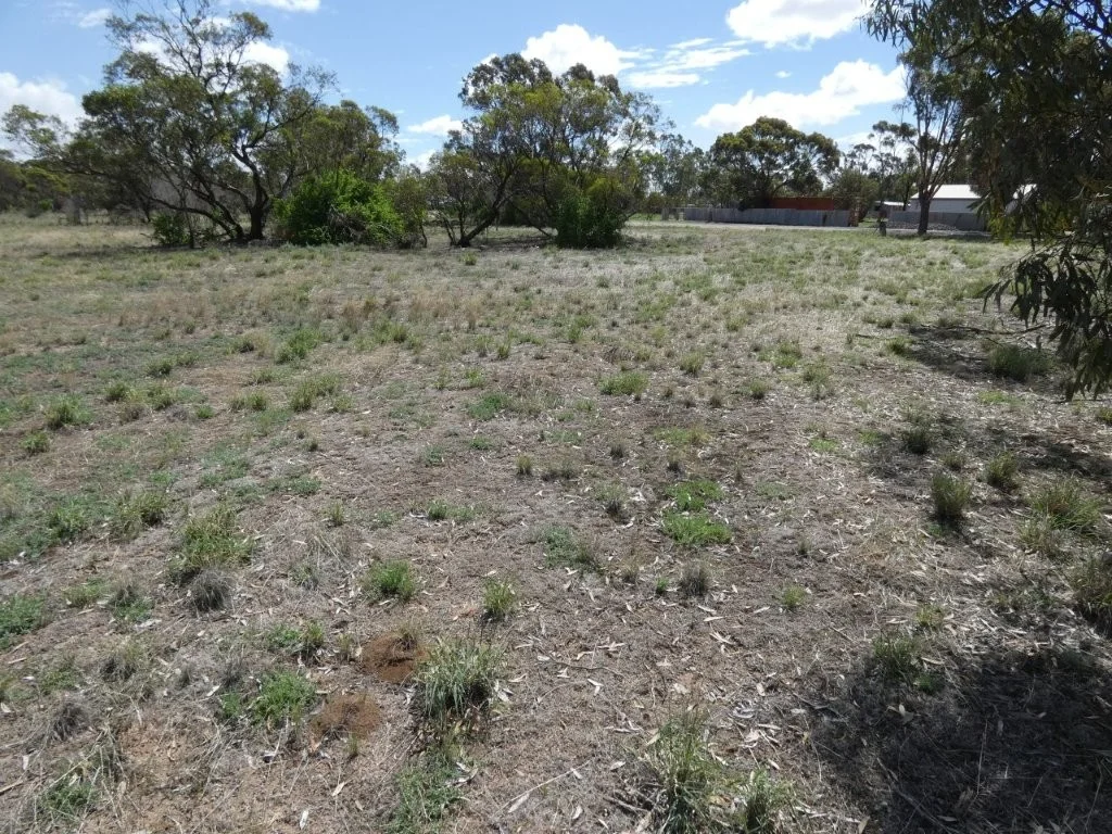 Additional image 5 of 1993 Henty Hwy, Brim VIC 3391