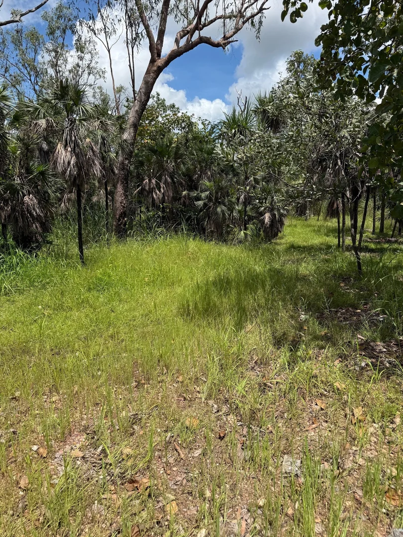 Additional image 11 of 245 Livingstone Road, Livingstone NT 0822