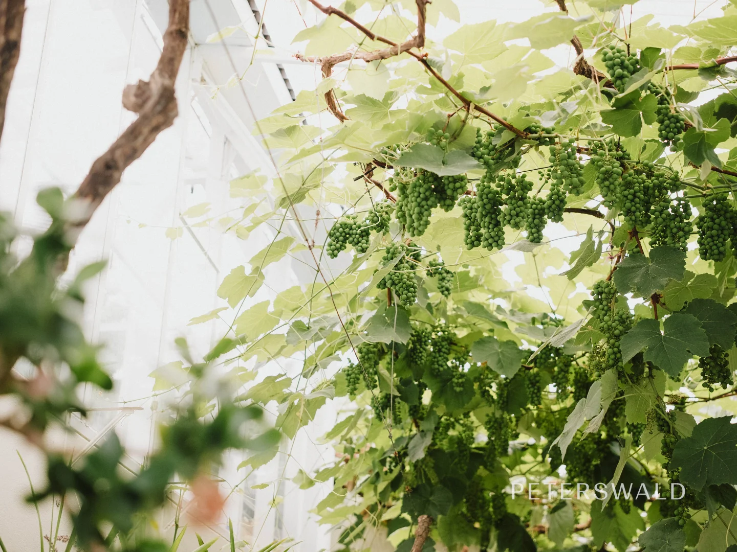 Additional image 11 of 14 Brushy Creek Road, Lenah Valley TAS 7008