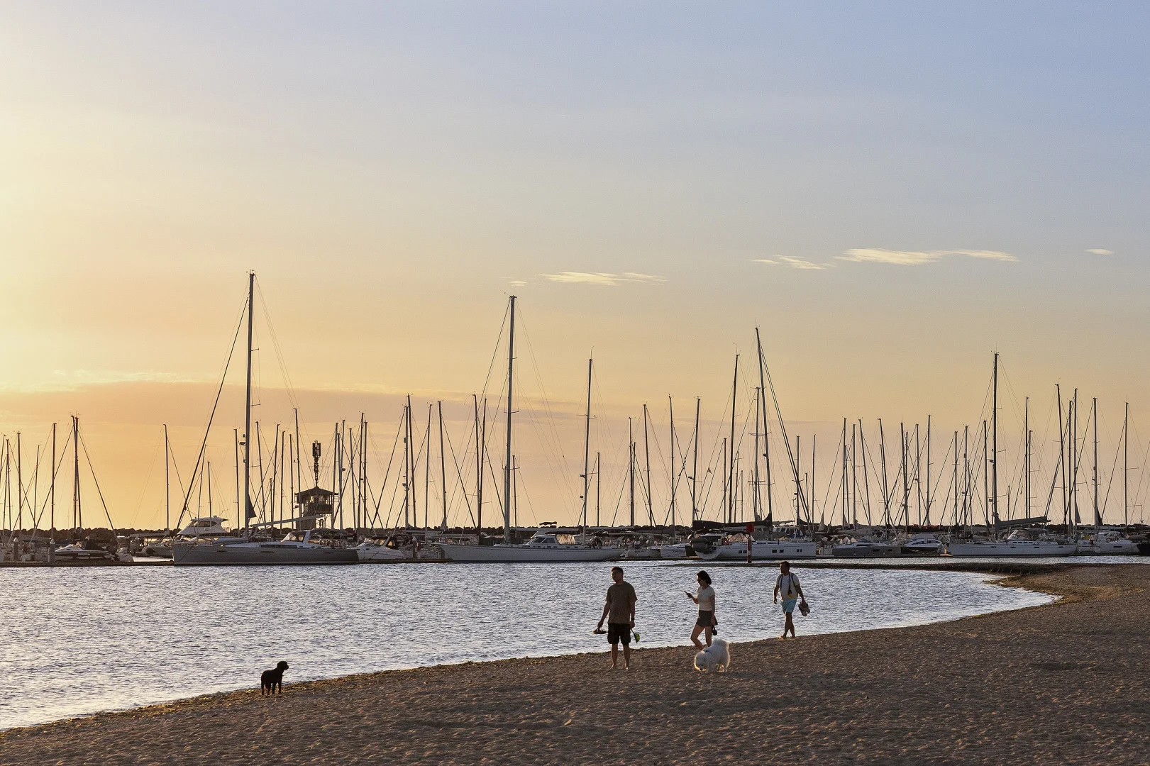 Additional image 14 of 9/10 Sandown Street, Brighton VIC 3186