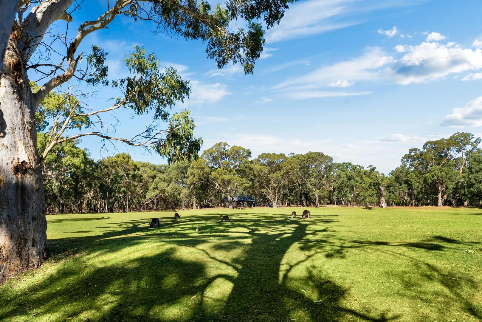 Additional image 18 of 19 Margaret Avenue, Glenalta SA 5052