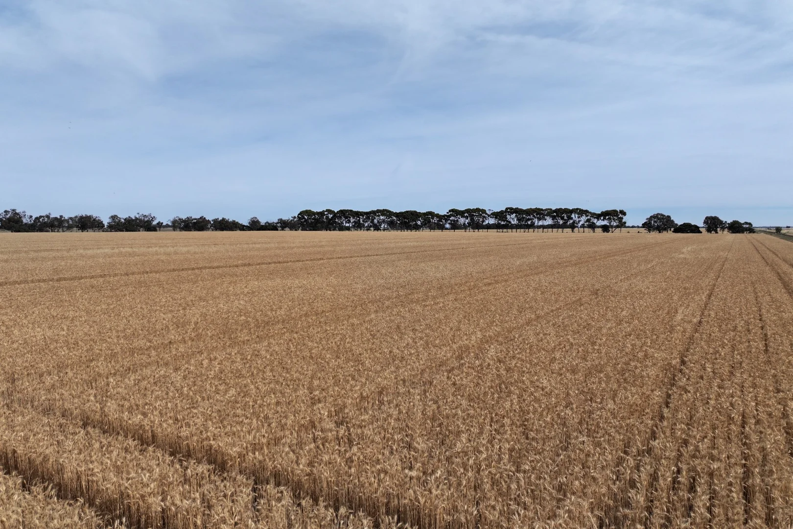 Additional image 14 of 1800 Mt Terrick Road, Roslynmead VIC 3564