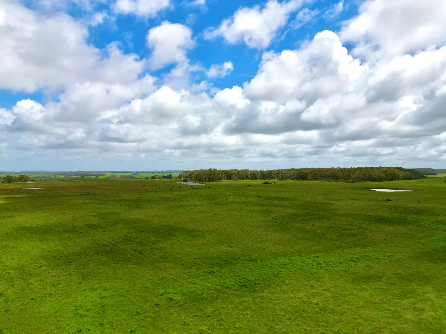 Additional image 3 of Smokey Point Road, Port Campbell VIC 3269