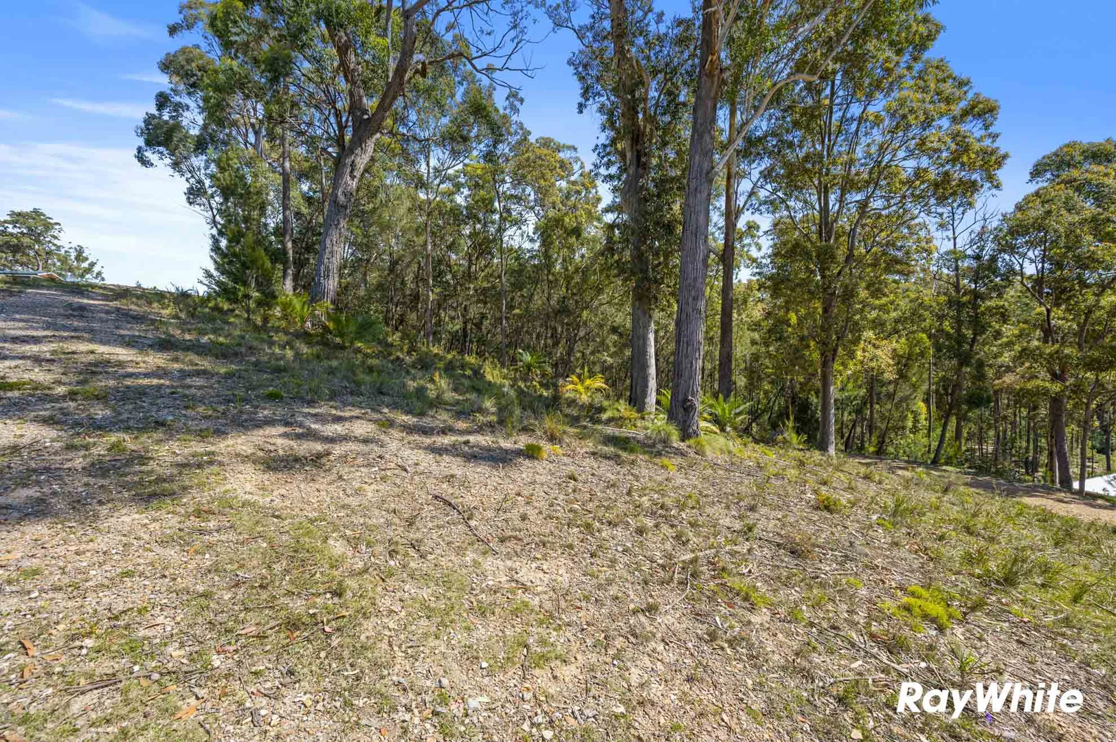 Additional image 11 of Lot 5 Sanctuary Forest Place, Long Beach NSW 2536