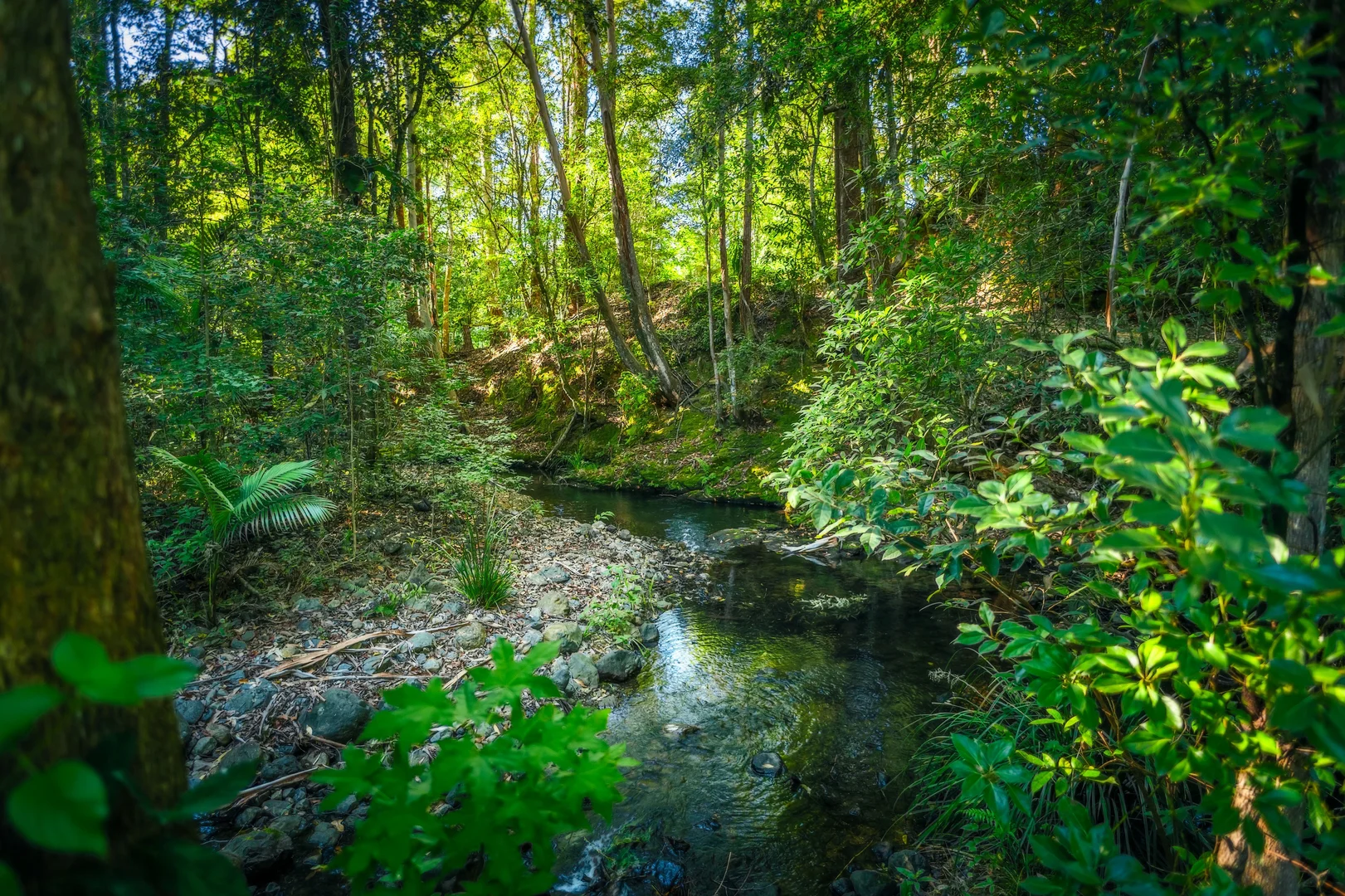 Additional image 31 of 484 Summervilles Road, Bellingen NSW 2454