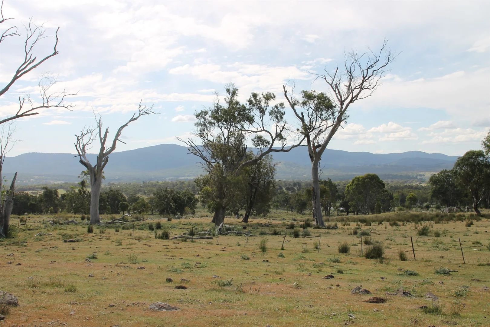 Additional image 8 of Lot 158 Woodside Road, Tenterfield NSW 2372