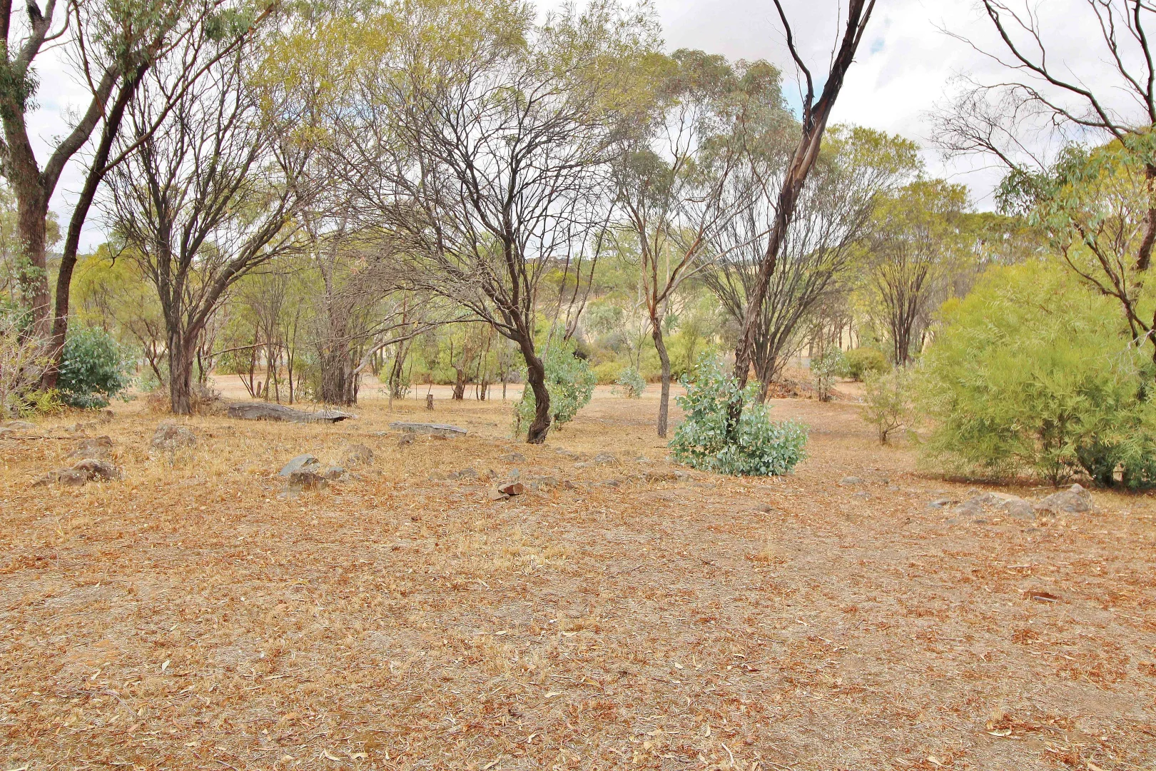 Additional image 32 of 95 CAMPBELL STREET, Cuballing WA 6311