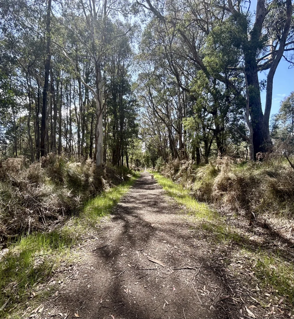 Additional image 16 of 175 Blighs Road, Trentham VIC 3458