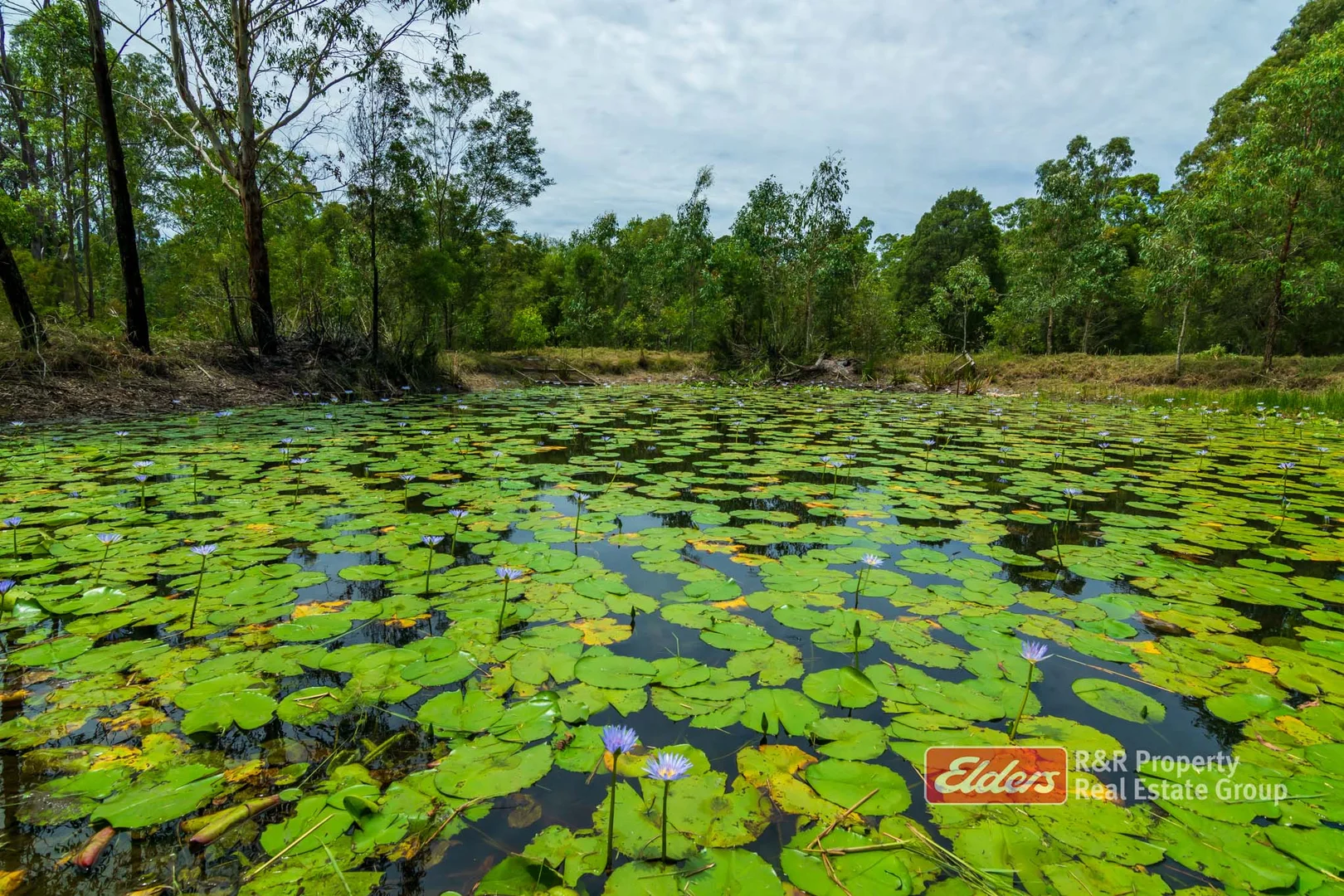 Additional image 18 of 647 Markwell Back Road, Markwell NSW 2423