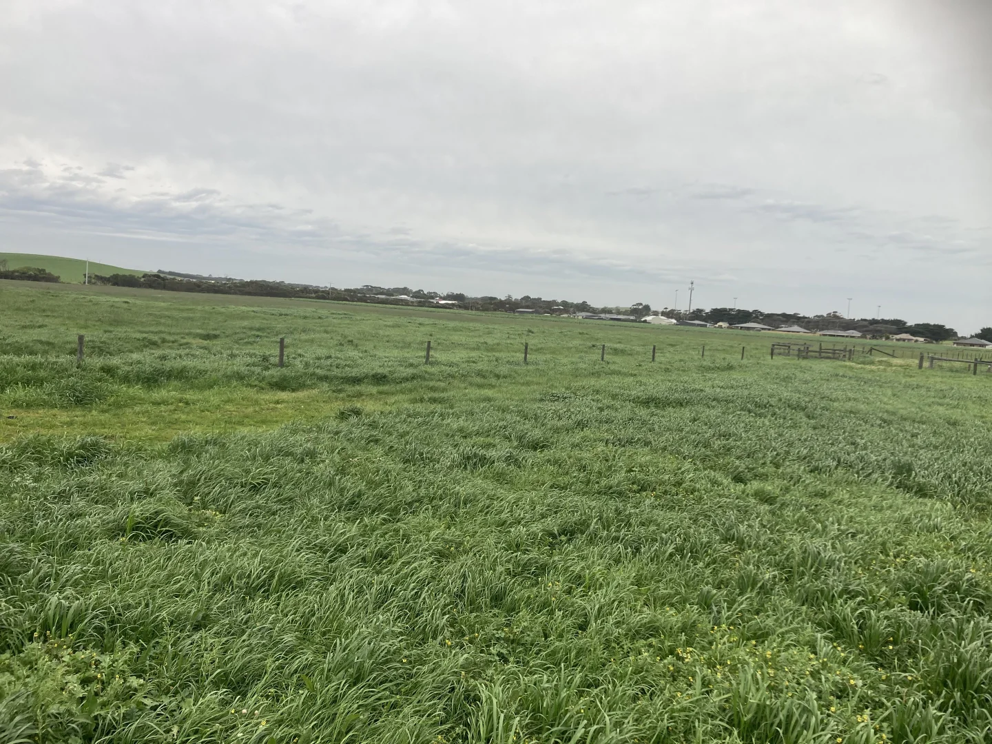 Additional image 14 of 4090 Bass Highway, Dalyston VIC 3992