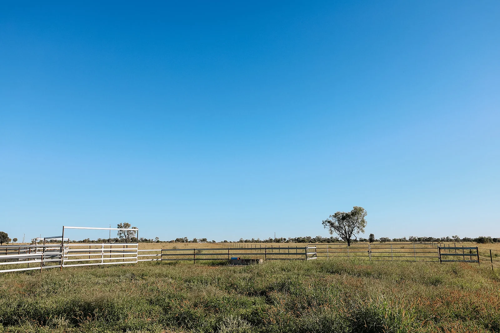 Additional image 21 of 888 Dargal Road, Roma QLD 4455