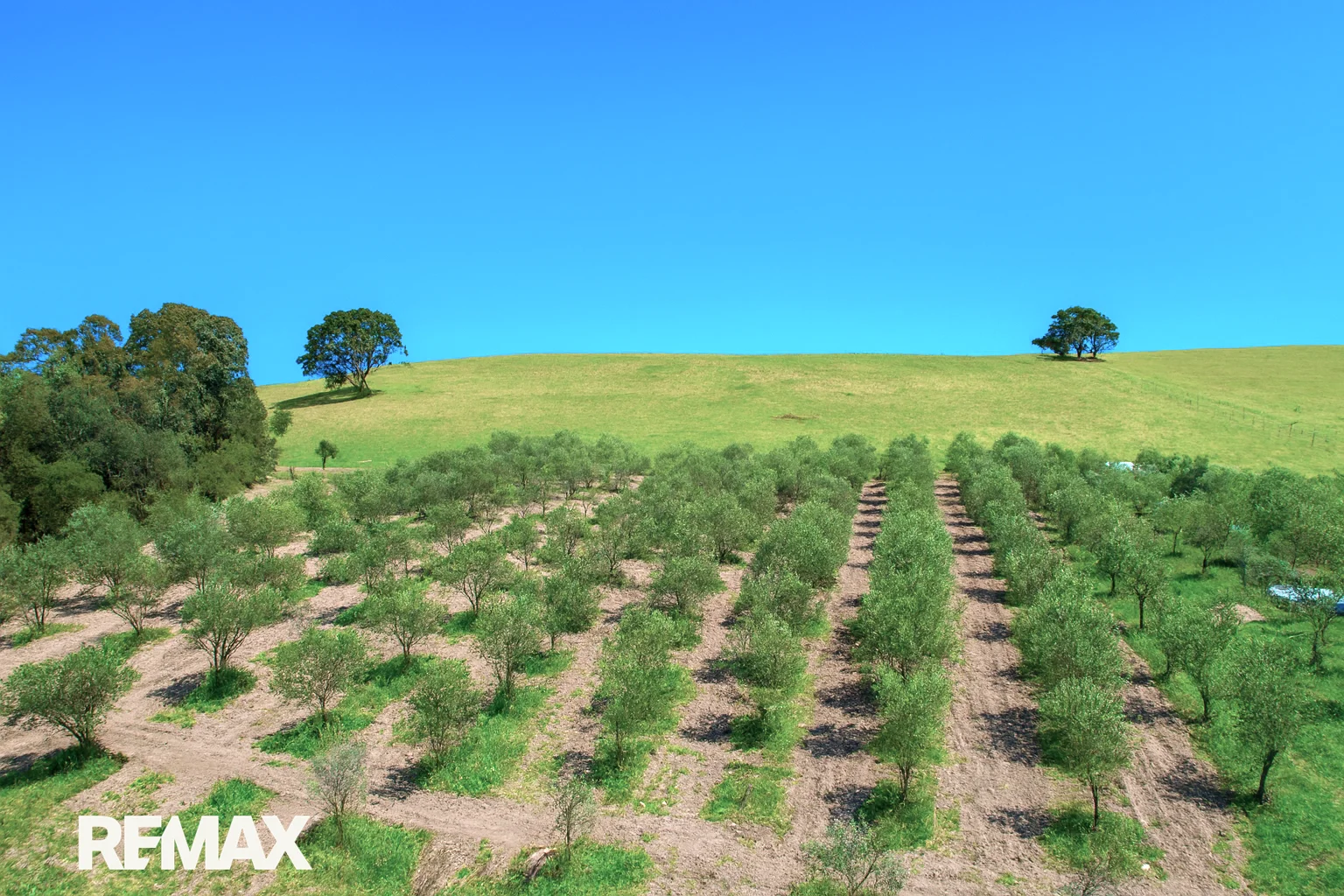 Additional image 19 of 34 Tambo Boulevard, Metung VIC 3904