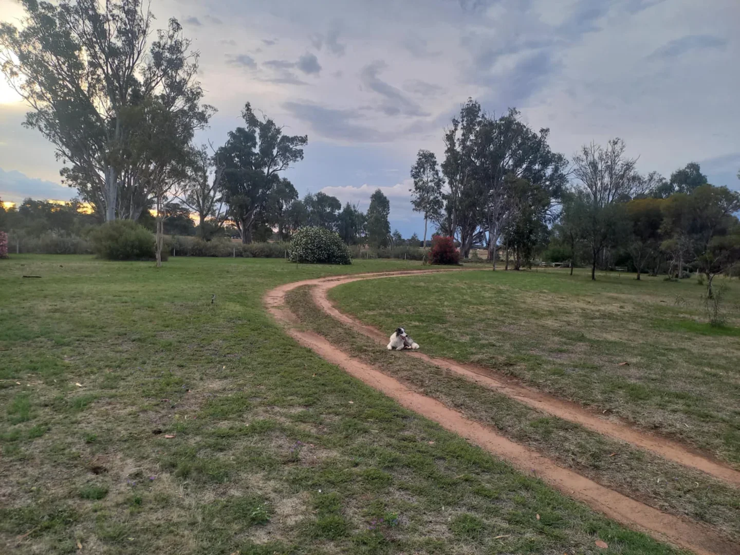 Additional image 24 of 1207 Frasers Road, Niemur NSW 2733