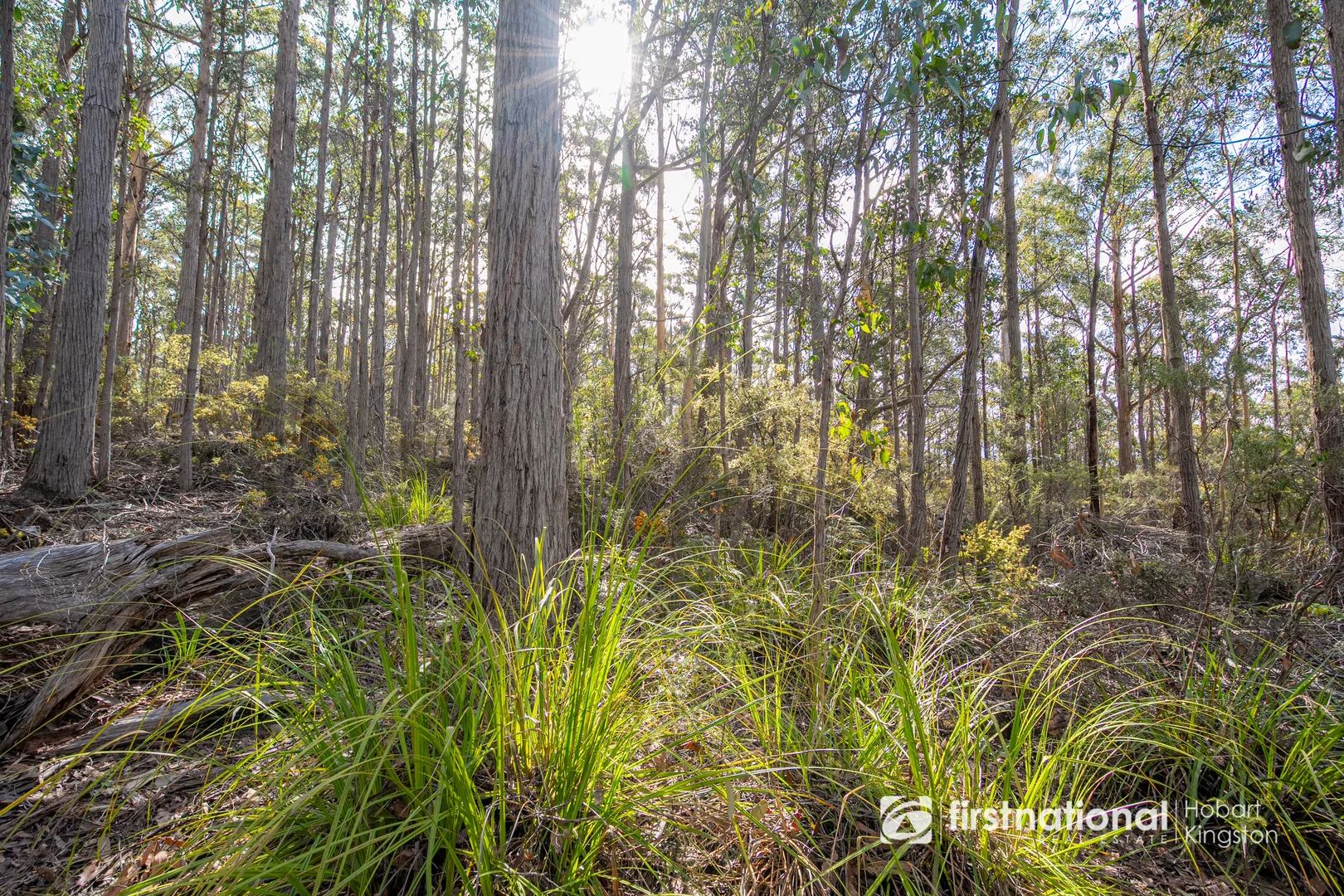 Additional image 22 of Krauses Road, Lower Longley TAS 7109