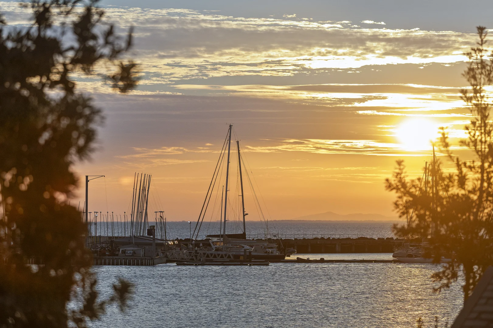 Additional image 2 of 9/10 Sandown Street, Brighton VIC 3186