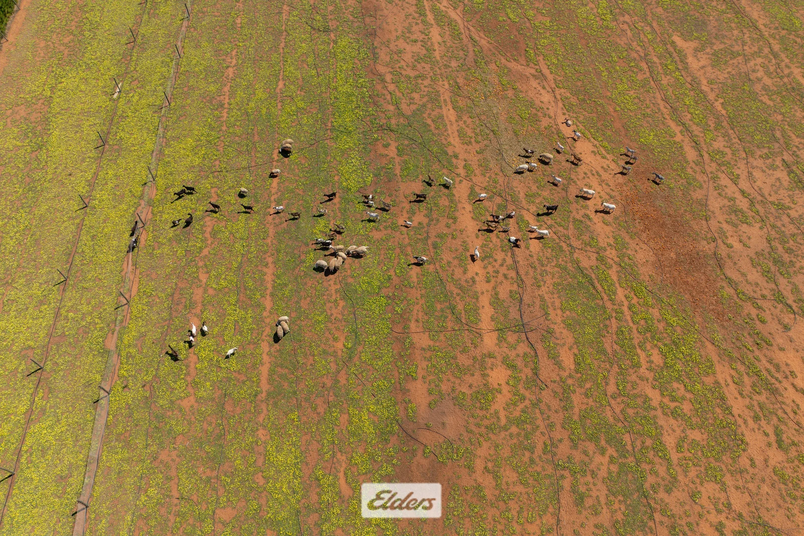 Additional image 24 of 173 Reed Road, Colignan VIC 3494