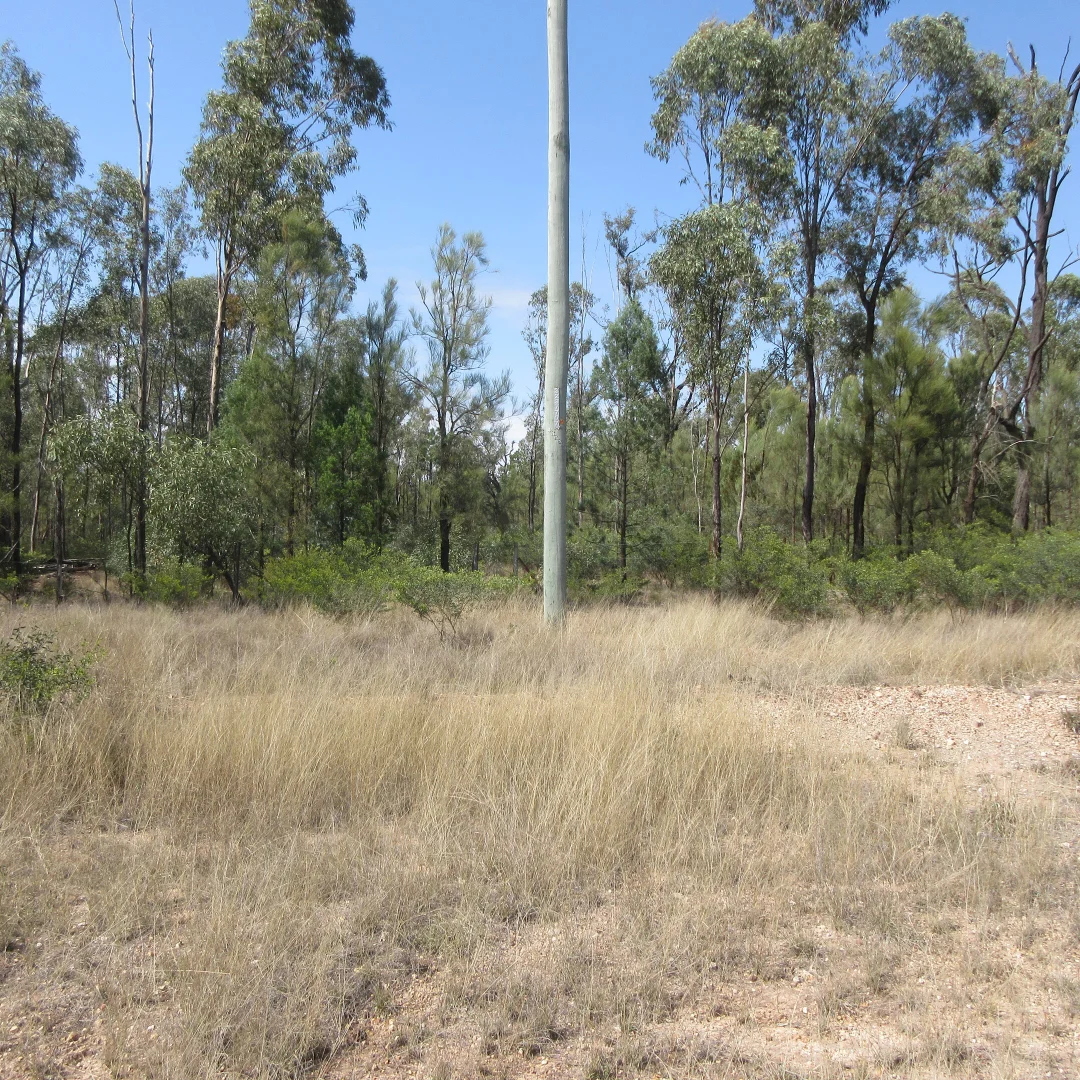 Additional image 2 of Lot 6 Cartens Lane, Tara QLD 4421