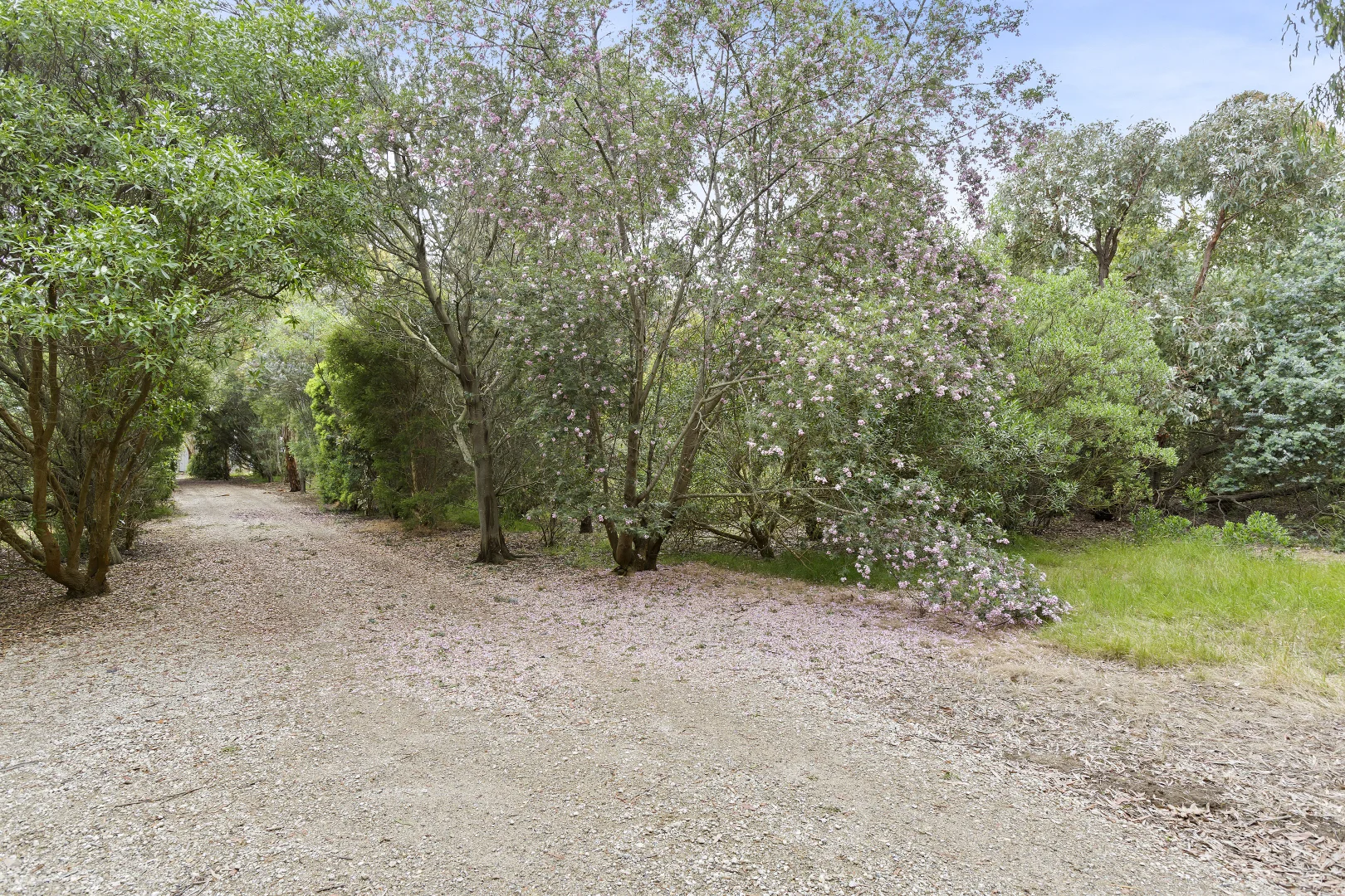 Additional image 4 of 545 Dangers Road, Gherang VIC 3240