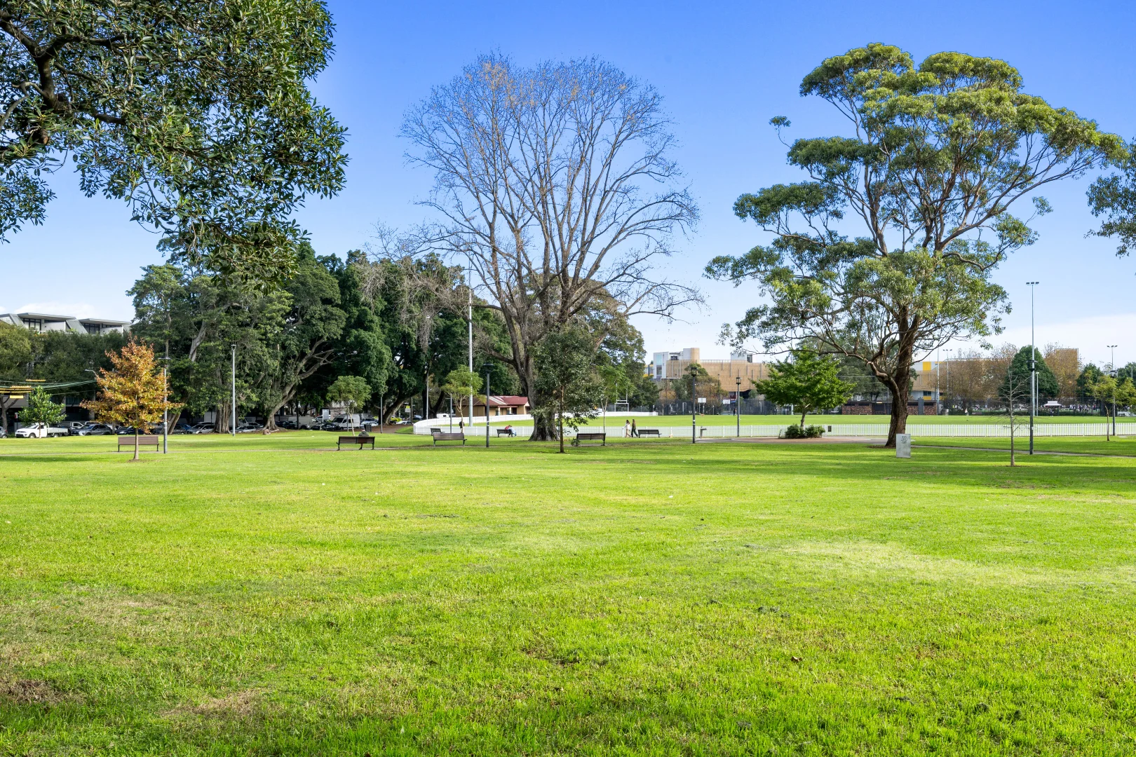 Additional image 9 of 40/27 Wyndham Street, Alexandria NSW 2015