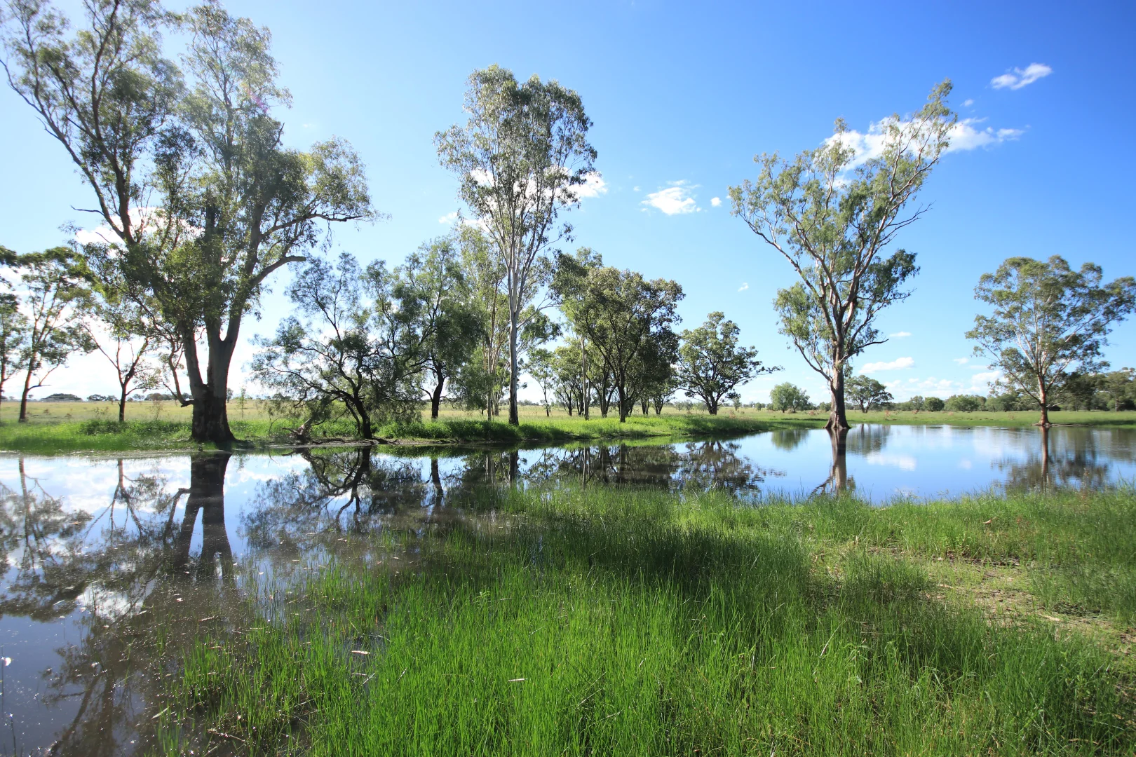 Additional image 5 of 888 Dargal Road, Roma QLD 4455