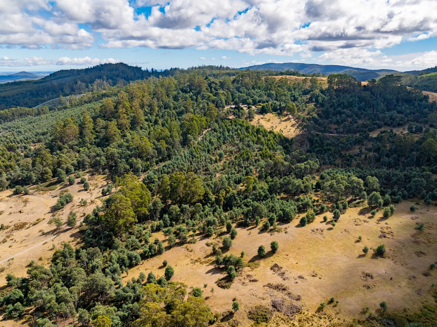 Additional image 10 of Lot 1 Holwell Road, Frankford TAS 7275