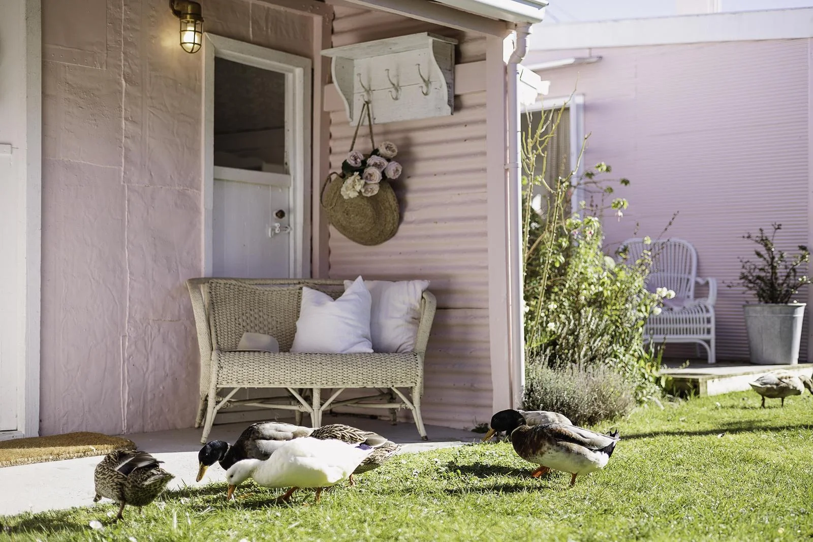 Additional image 4 of 81 Lettes Bay Road, Strahan TAS 7468