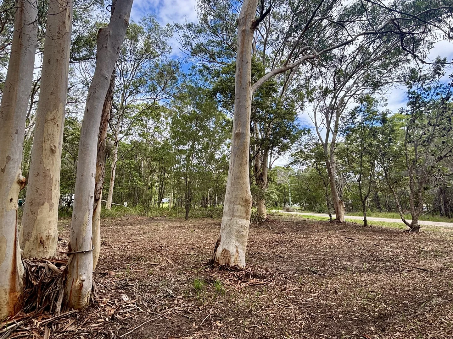 Additional image 5 of 49 Canaipa Ridge Road, Russell Island QLD 4184