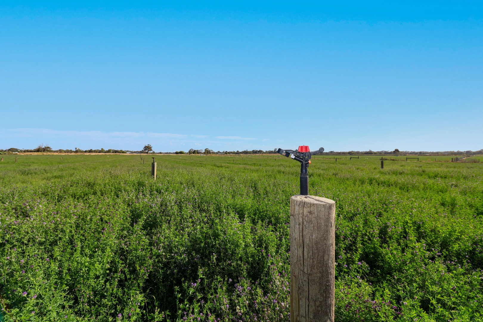 Additional image 17 of 81 Back Boga Road, Swan Hill VIC 3585