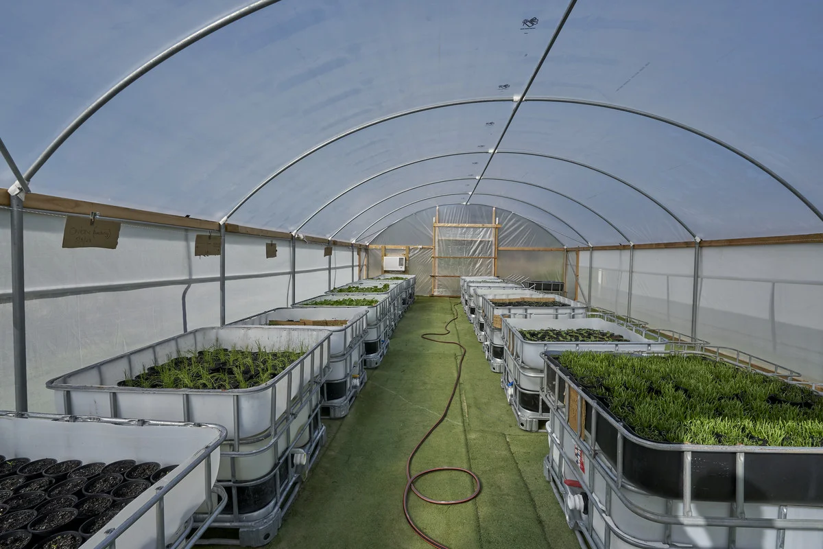 Additional image 22 of 185 Dalyston-Glen Forbes Road, Dalyston VIC 3992