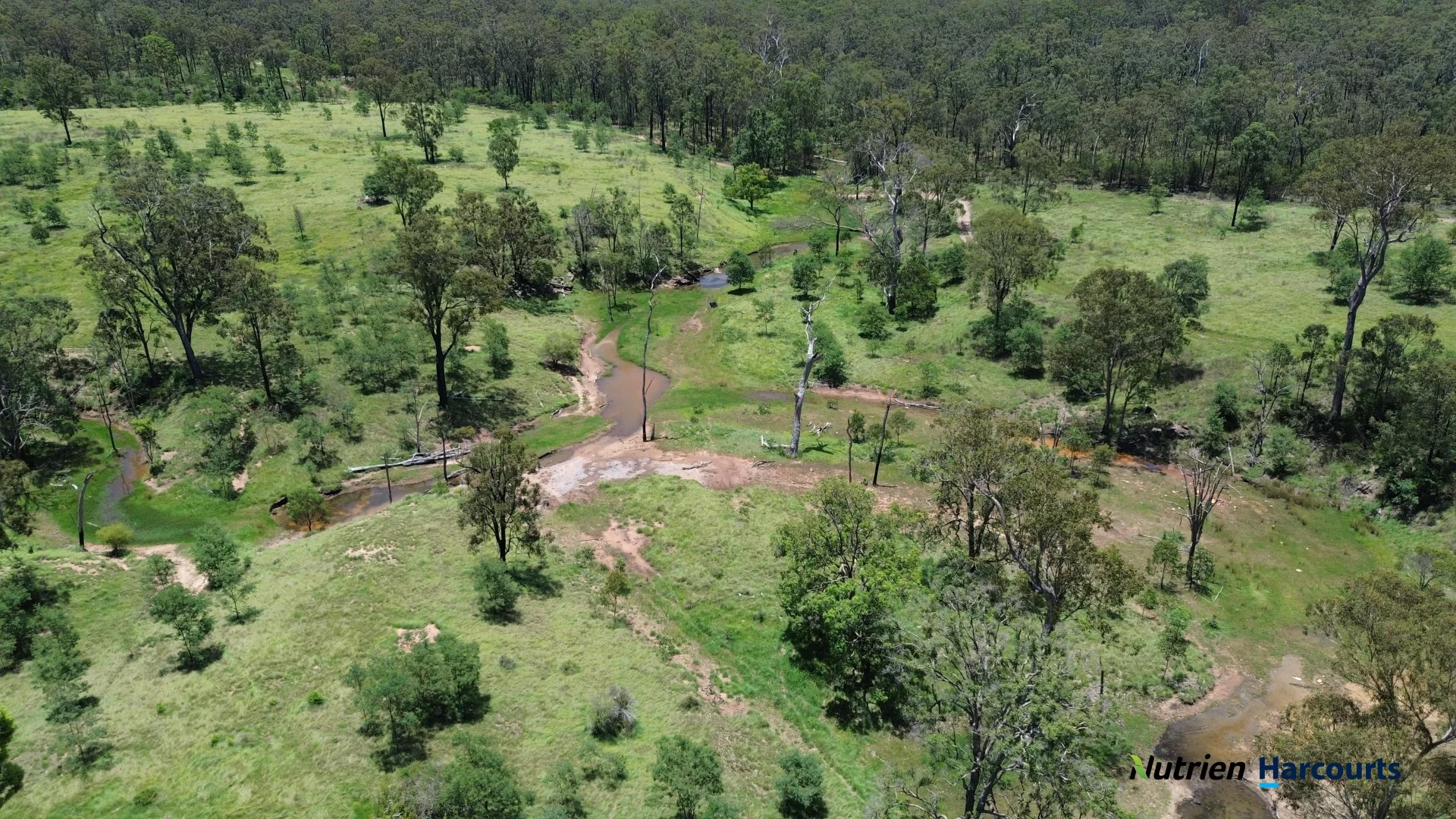 Additional image 13 of 960 Dangore Mountain Road, Dangore QLD 4610