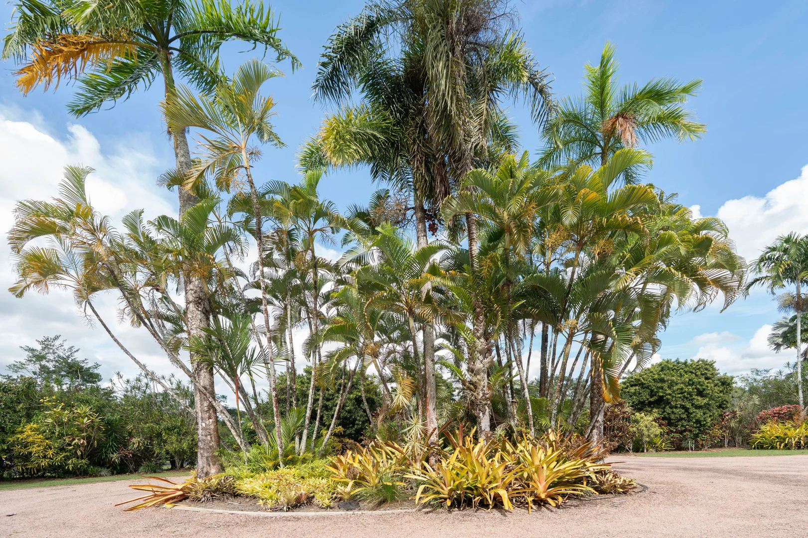 Additional image 43 of 191 Bulgun Rd, Bulgun QLD 4854