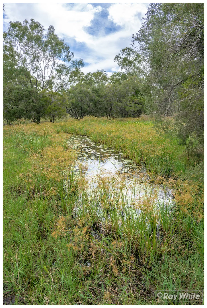 Additional image 36 of 253 Hunt Road, Alton Downs QLD 4702