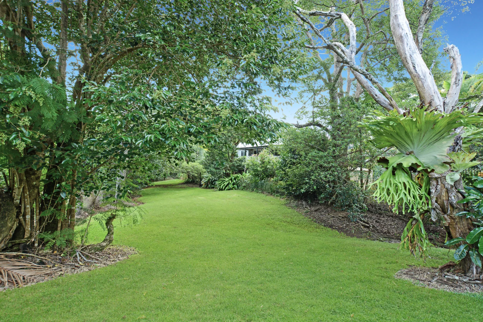 Additional image 16 of 78 Main Street, Montville QLD 4560