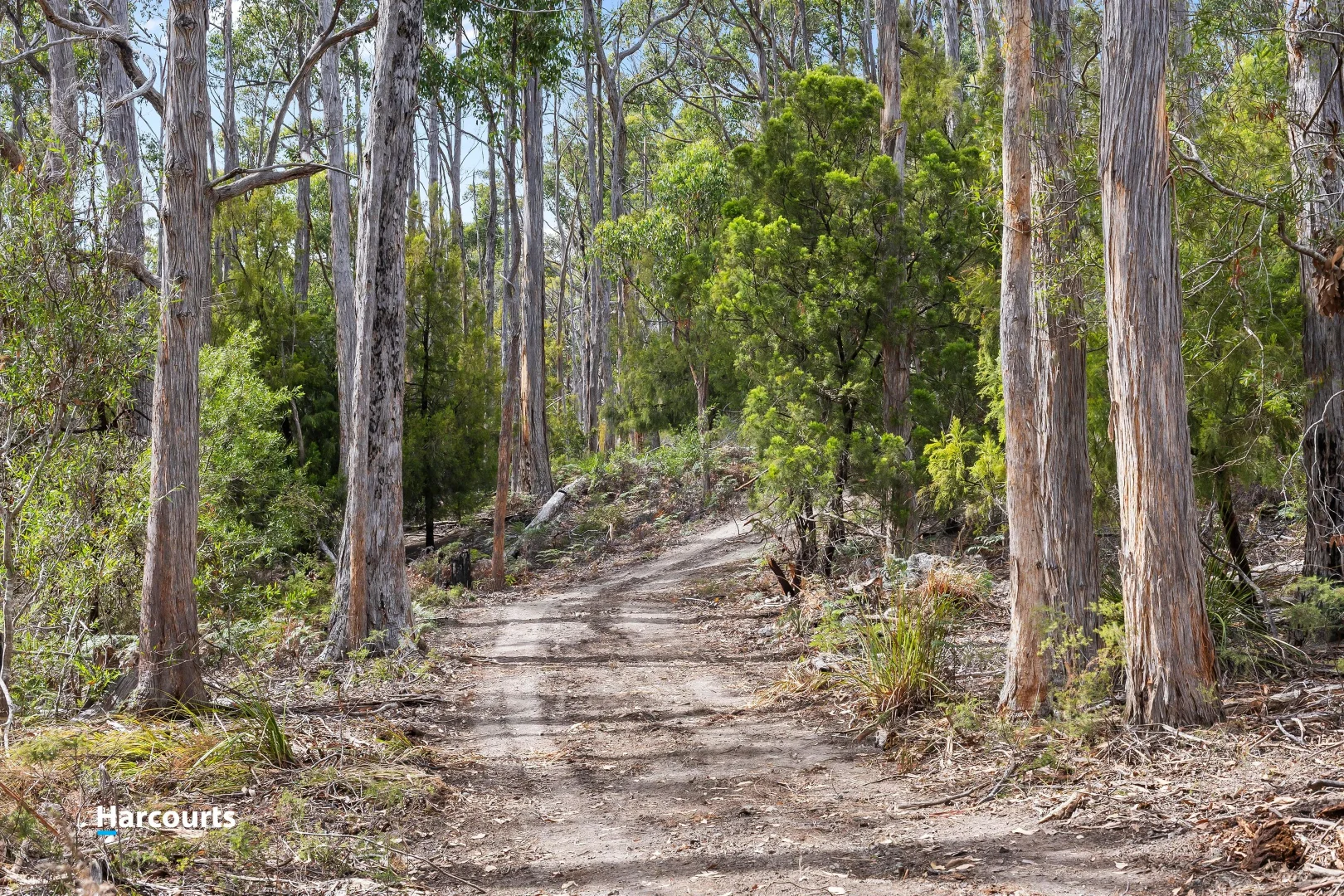 Additional image 20 of Lot 1 Slaters Road, Cradoc TAS 7109