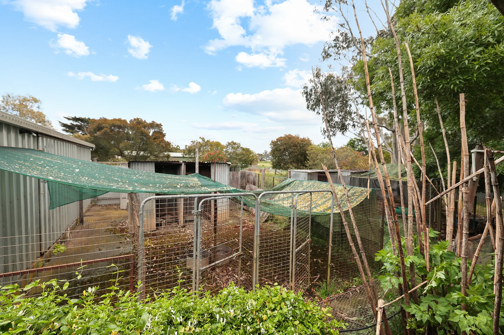 Additional image 22 of 23 Shannons Road, Lancefield VIC 3435