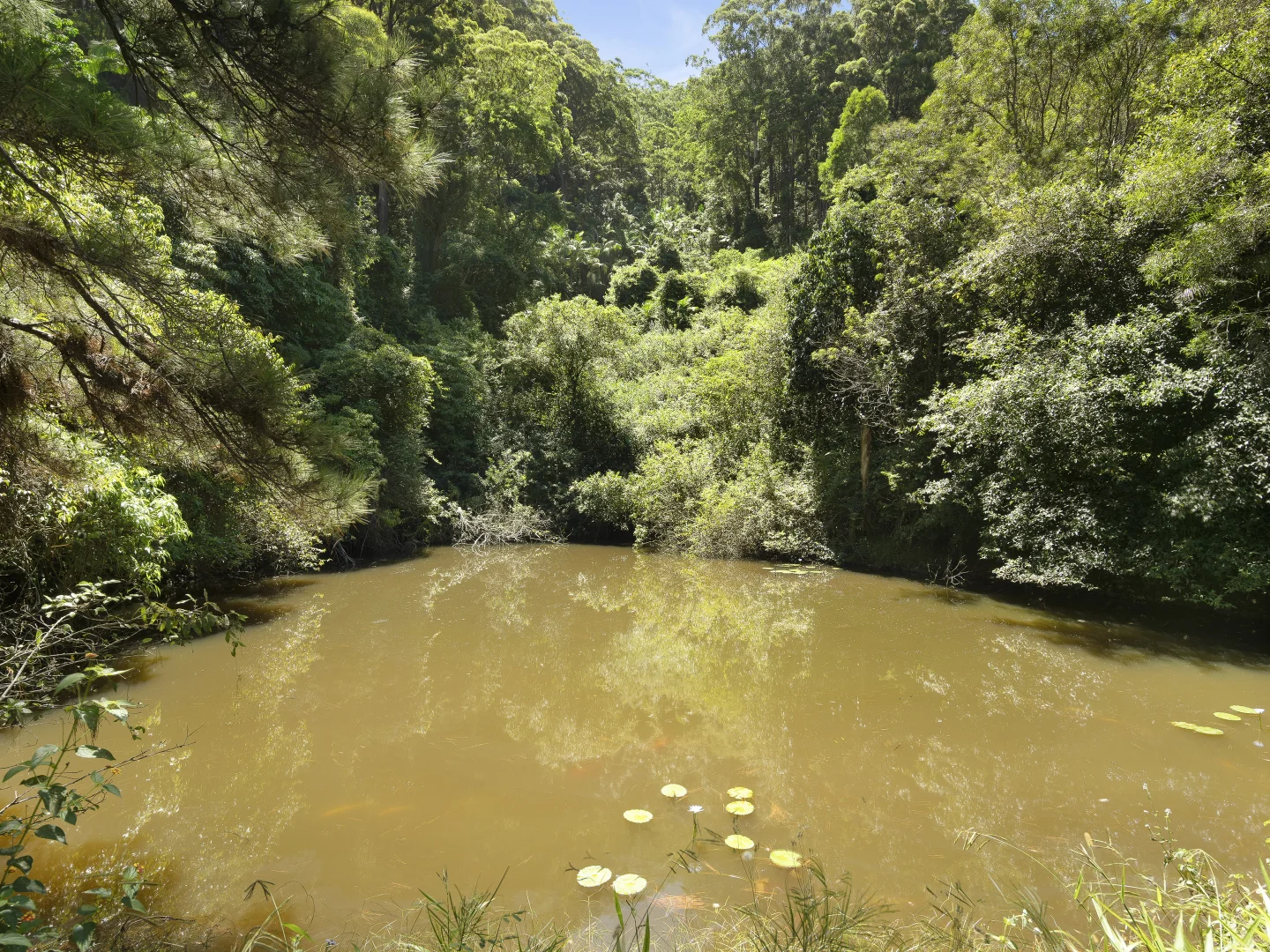 Additional image 16 of 2A Hardy Close, Korora NSW 2450