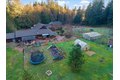 Additional image 46 of 4154 MT Brynion Rd, Kelso, WA, 98626