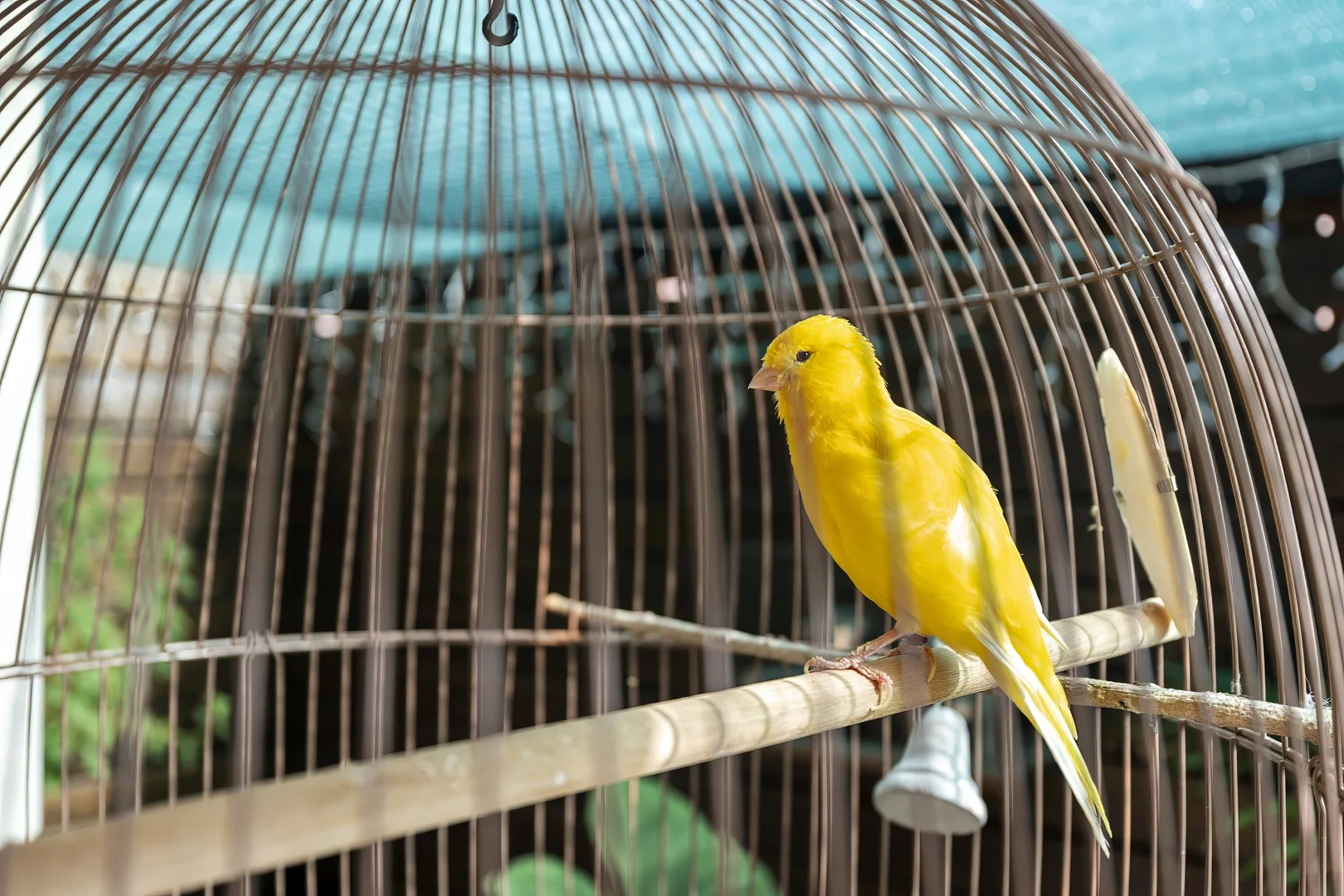 Additional image 12 of 7/4 Kal Ma Kuta Drive, Sandstone Point QLD 4511