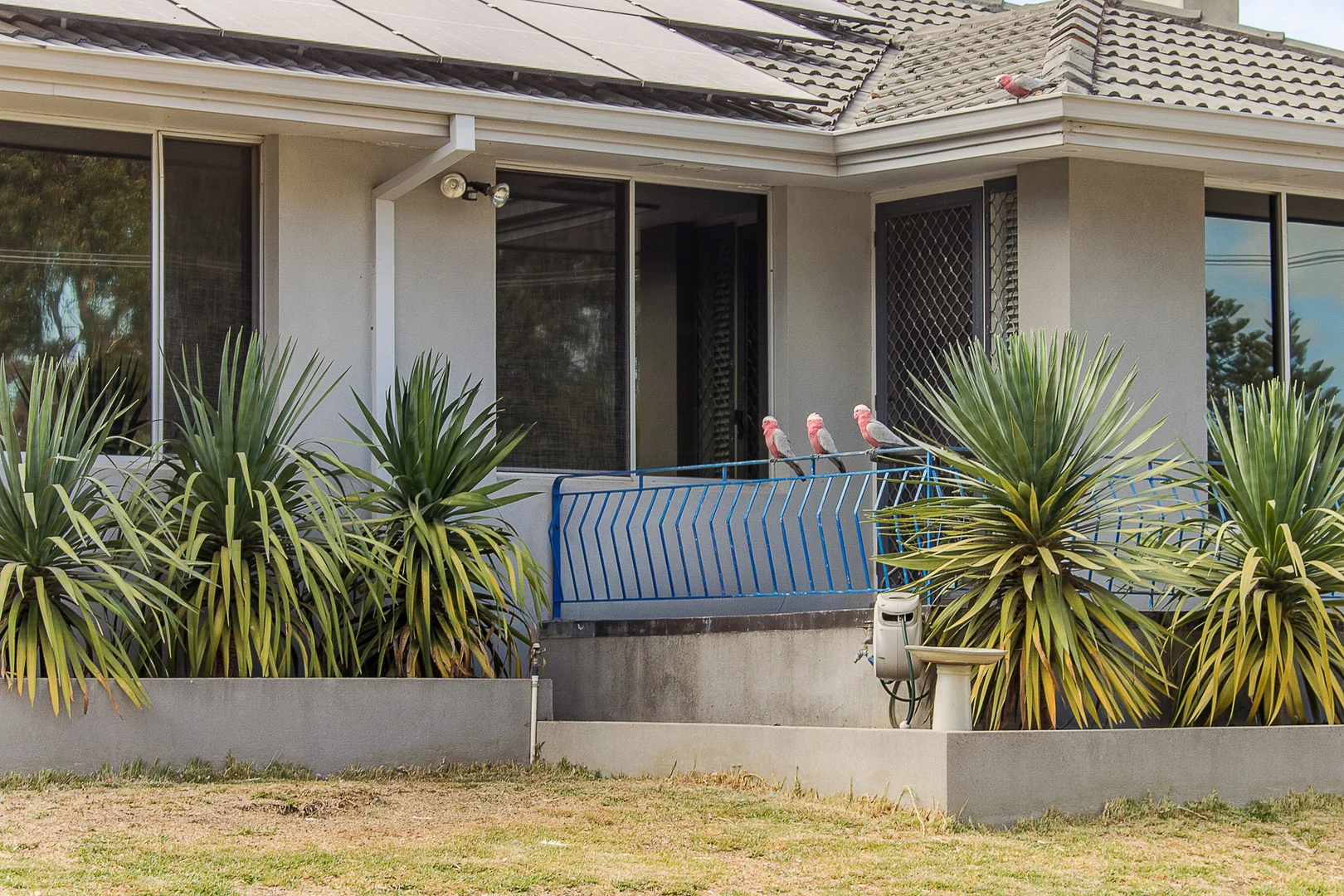 Additional image 20 of 29 Gray Road, Mandurah WA 6210