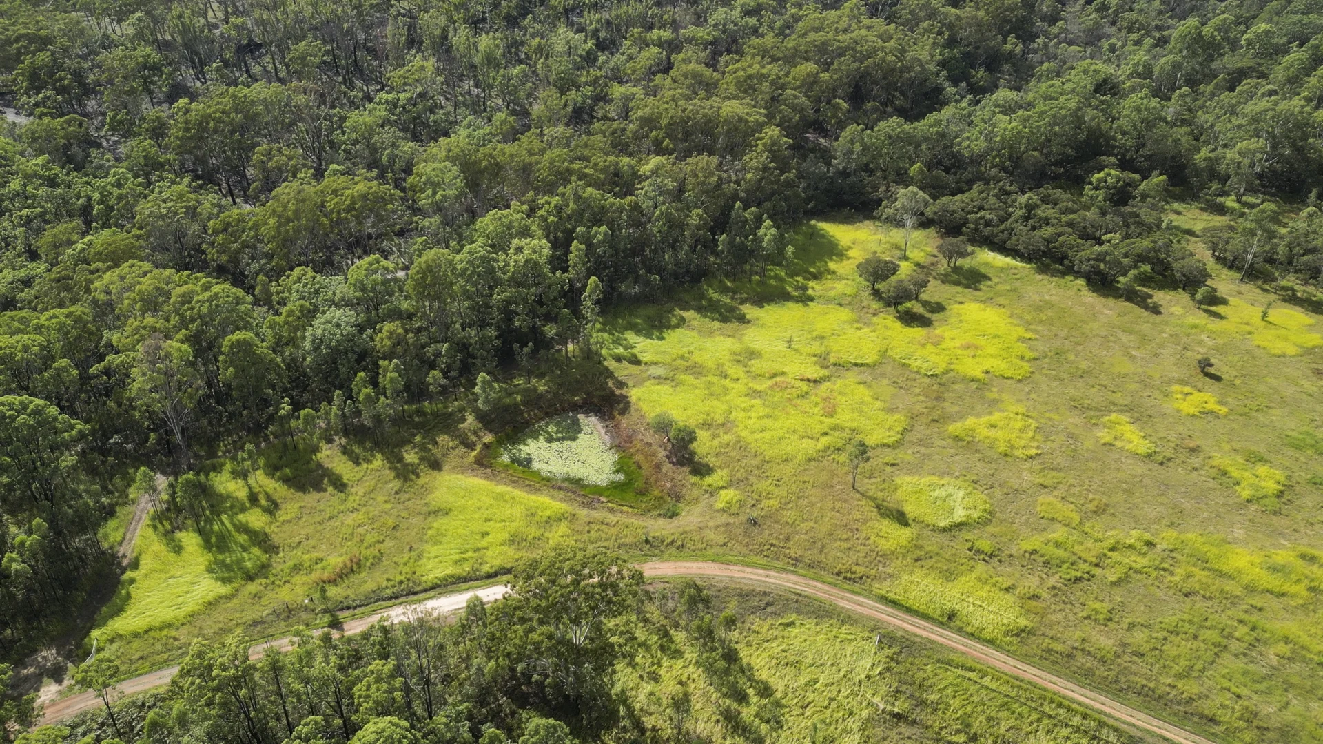 Additional image 14 of 337 Clearview Road, Coutts Crossing NSW 2460