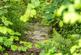 Additional image 23 of Longcoombe Lane, Polperro, Looe, PL13