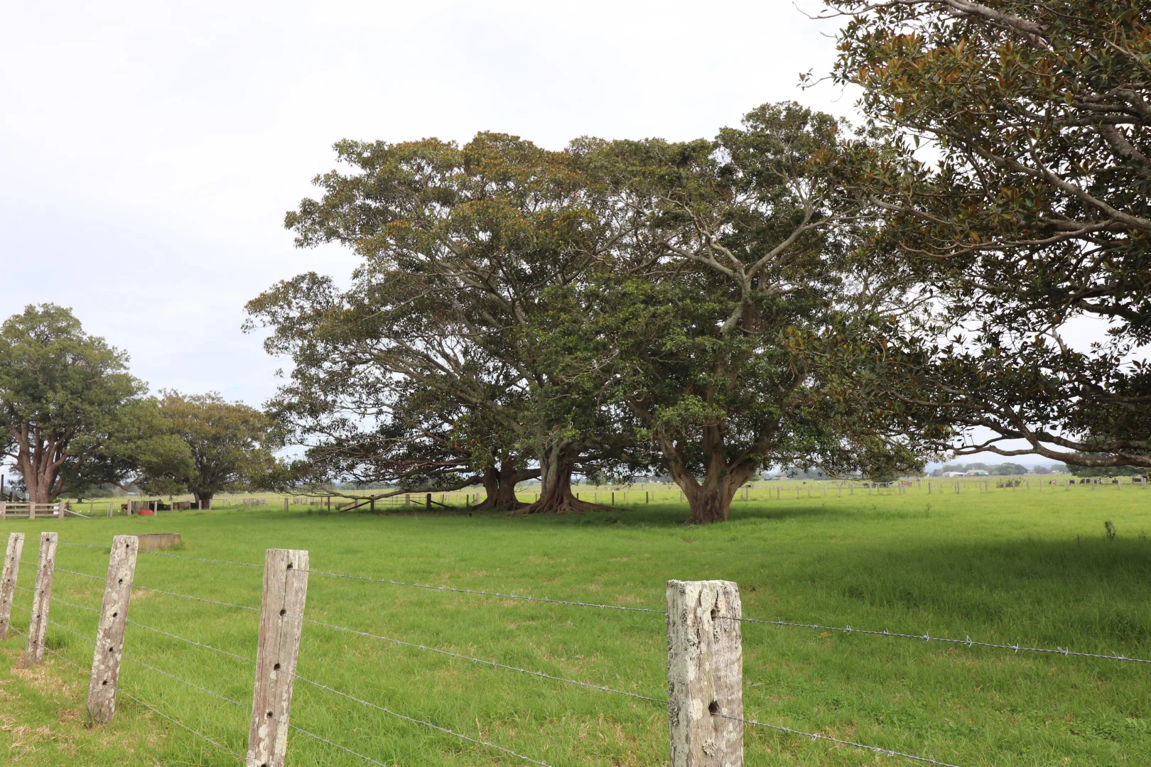 Additional image 20 of 561 Austral Eden Outer Road, Austral Eden NSW 2440