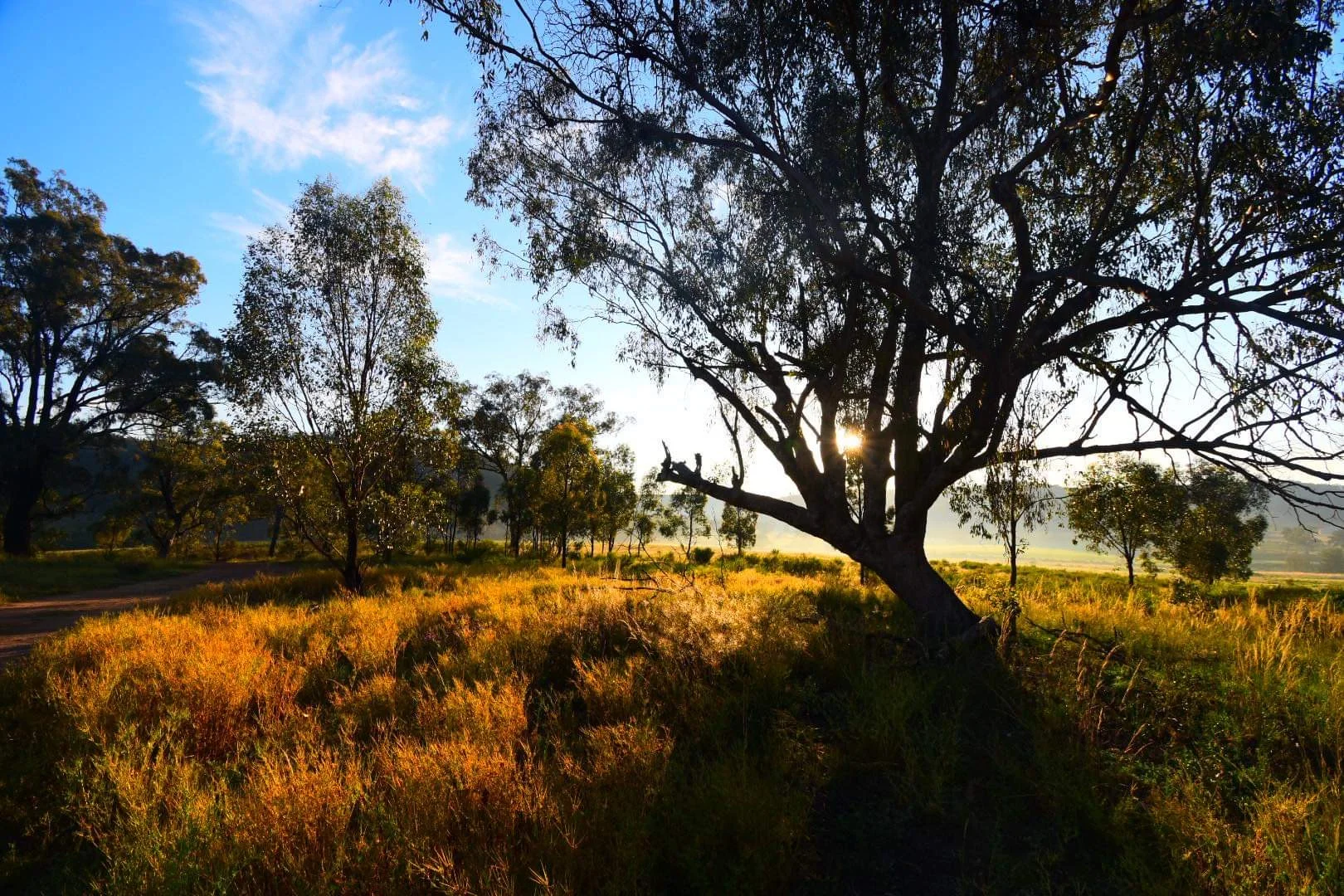 Additional image 12 of Lot 18 Hulks Road, Merriwa NSW 2329