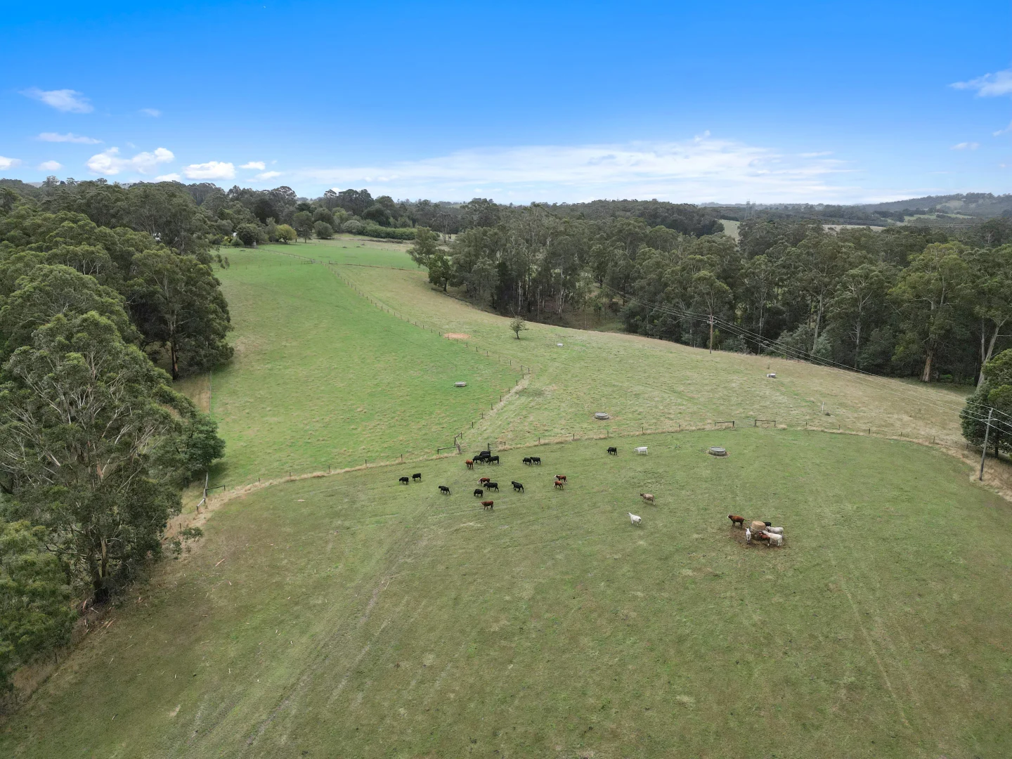 Additional image 31 of 1080 Main Neerim Road, Rokeby VIC 3821