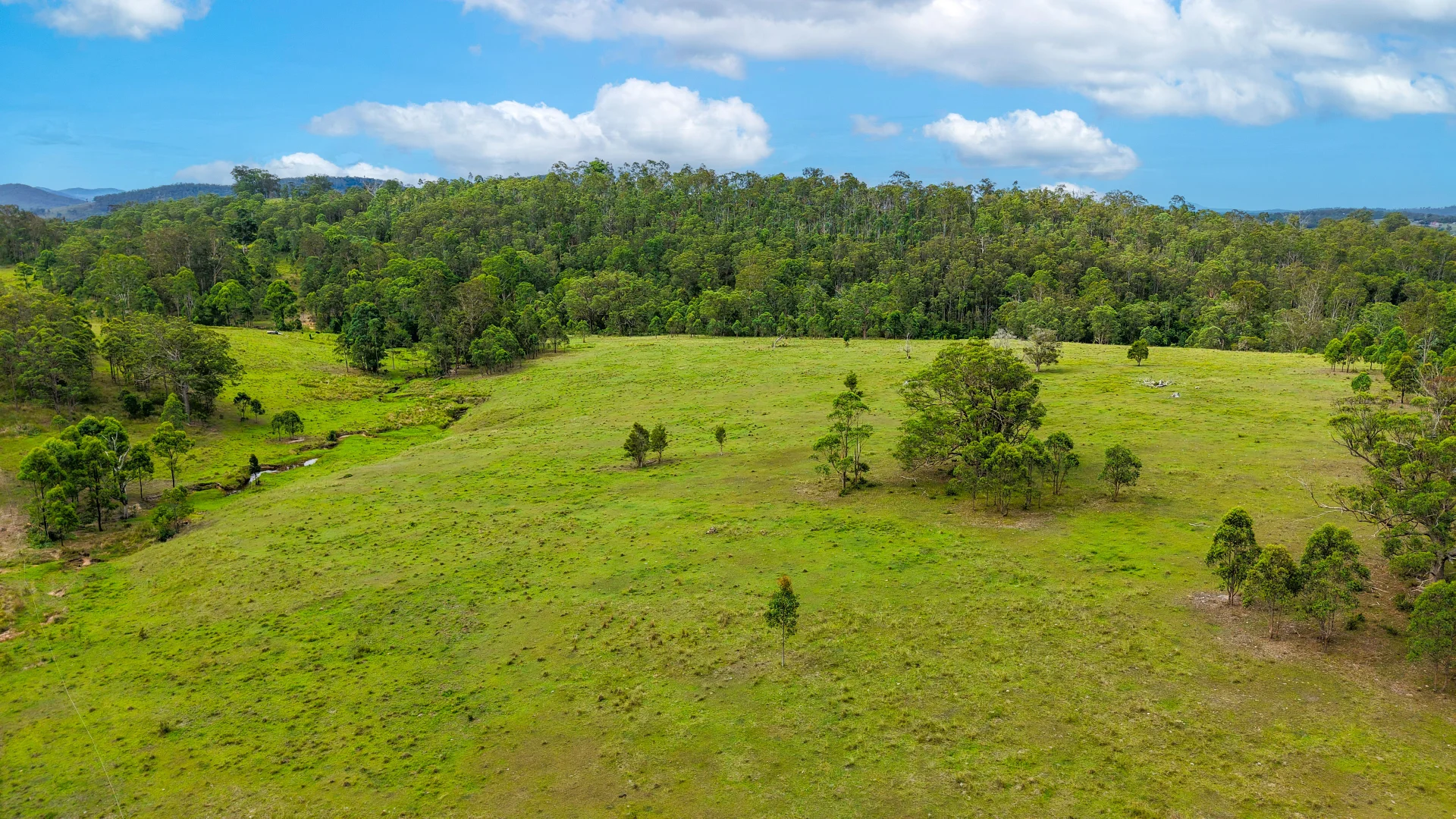 Additional image 5 of 198 Bow Hill Road, Dollys Flat NSW 2429