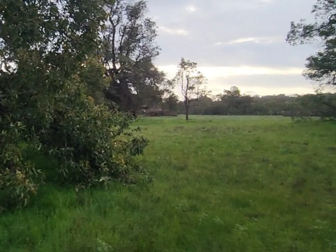 Additional image 2 of Lot 159 Chuditch Place, Ginginup WA 6503