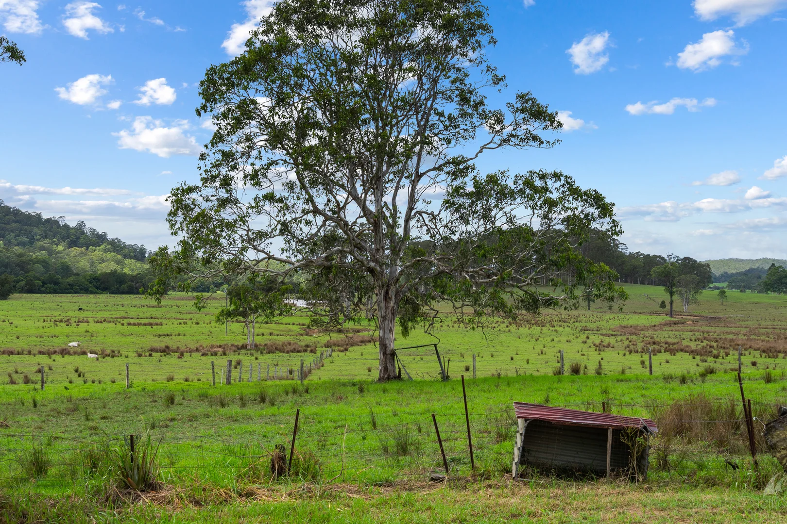 Additional image 4 of 273 Bunyah Road, Firefly NSW 2429
