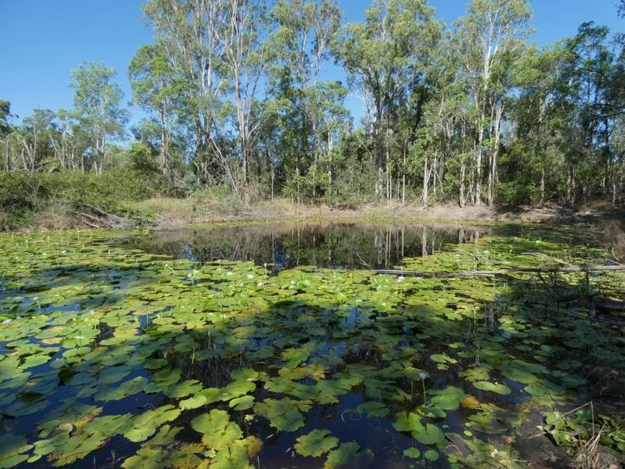 Additional image 28 of 45 Sheahan Road, Berajondo QLD 4674