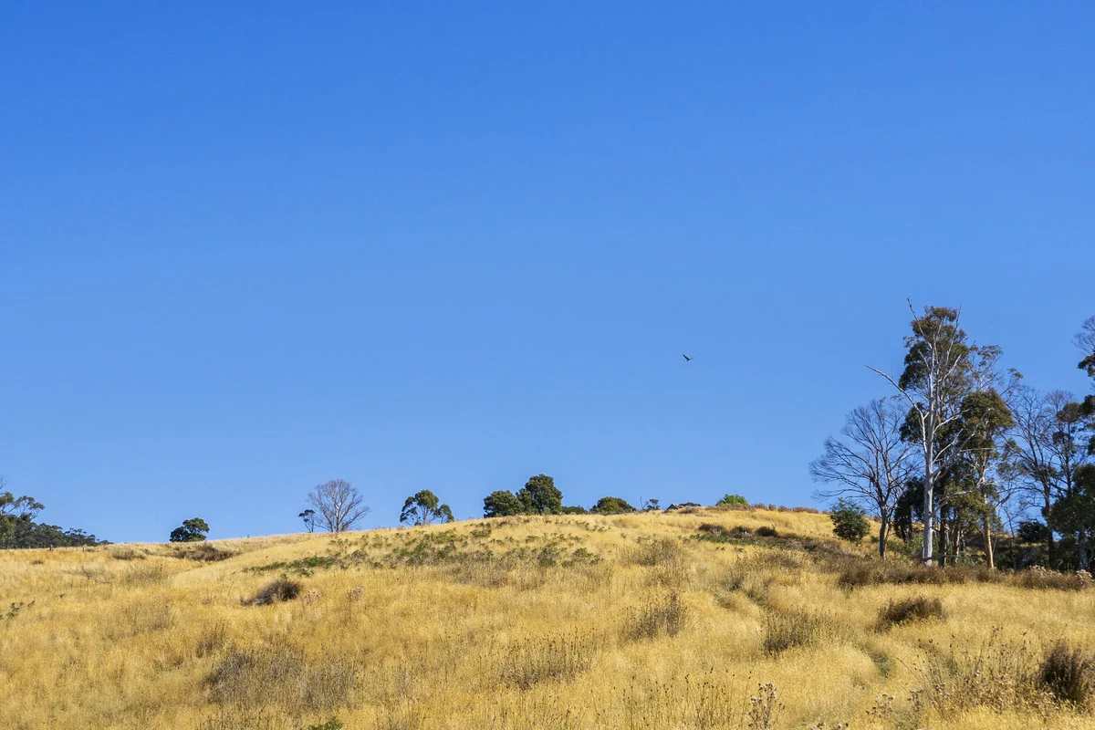 Additional image 7 of 44 Coppings Road & 729 Nubeena Road, Premaydena TAS 7185