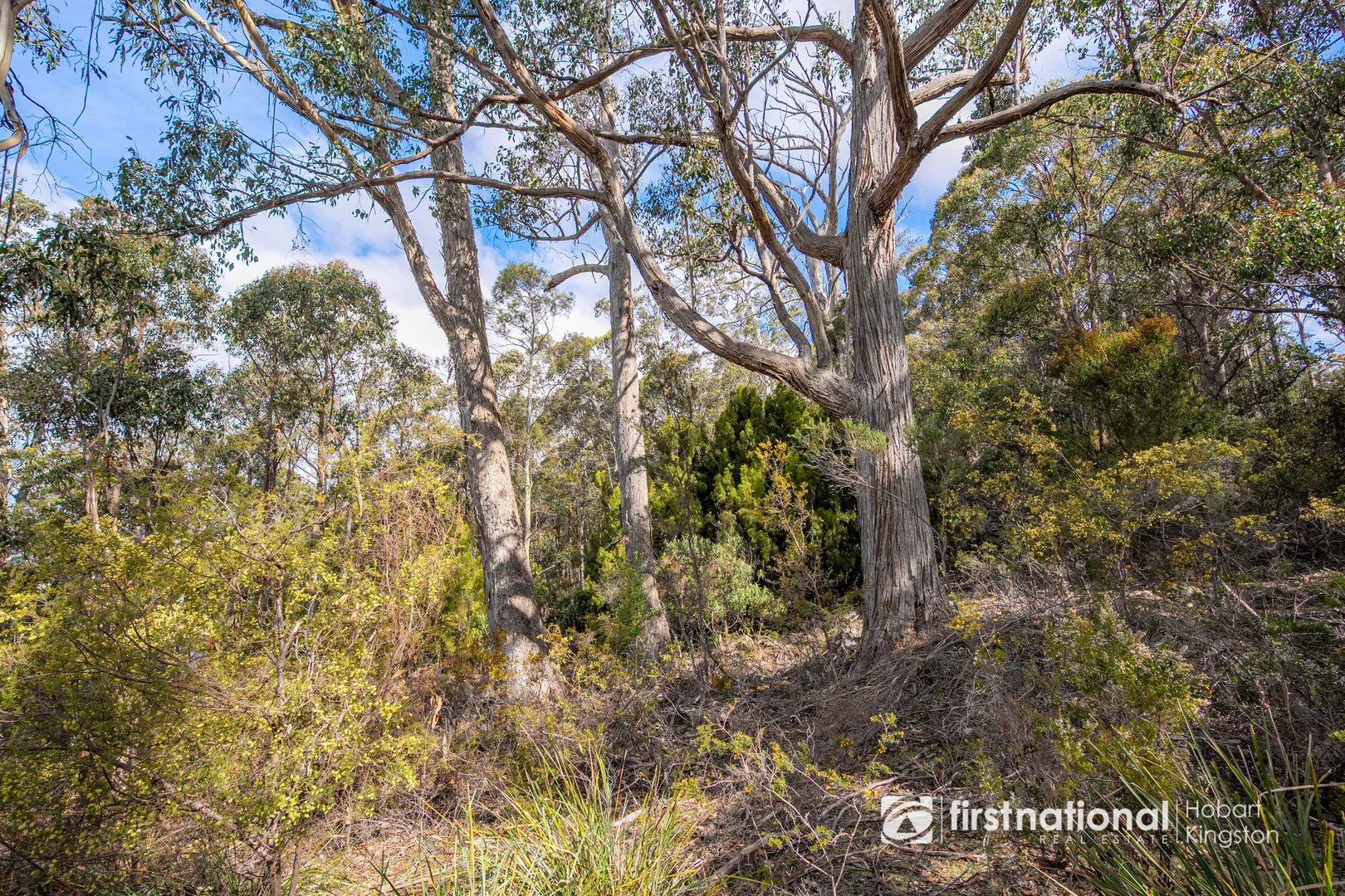 Additional image 20 of Krauses Road, Lower Longley TAS 7109